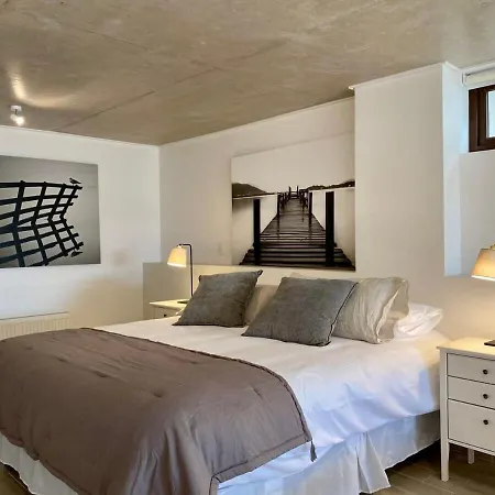 Hom I Amplio Loft Con Jardin En Mejorlugar De Valparaiso 1109 Exterior photo