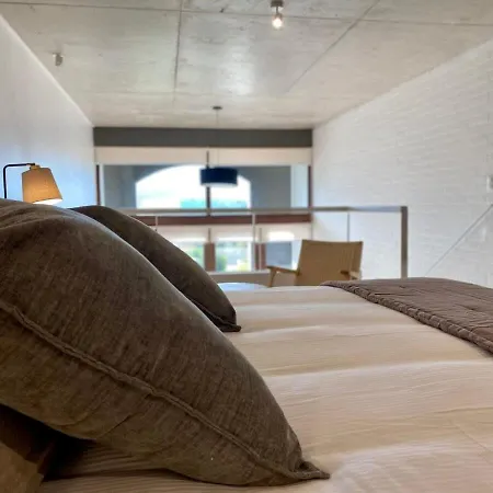 Hom I Amplio Loft Con Jardin En Mejorlugar De Valparaiso 1109 Exterior photo