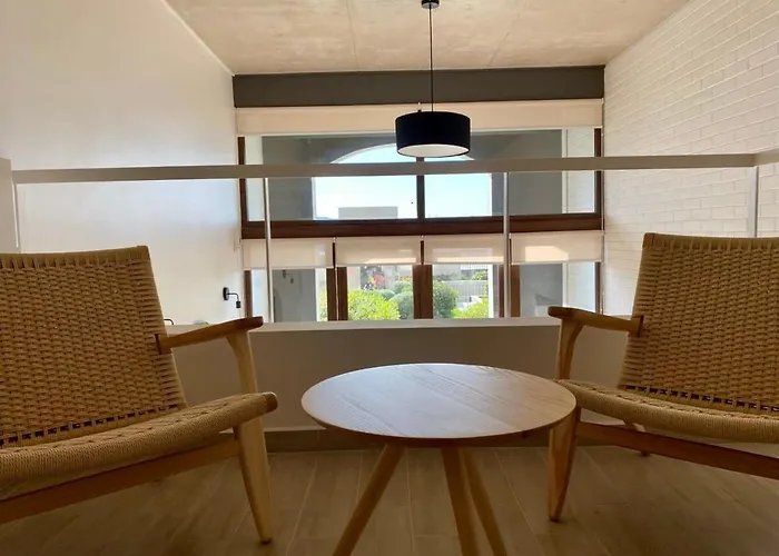 Hom I Amplio Loft Con Jardin En Mejorlugar De Valparaiso 1109